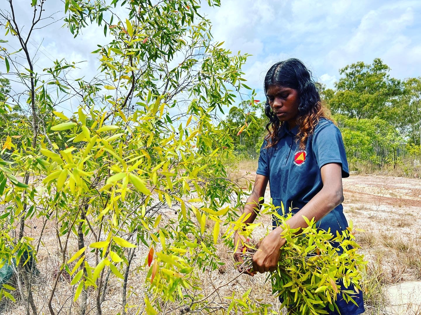Gulun’kulun Essential Oil